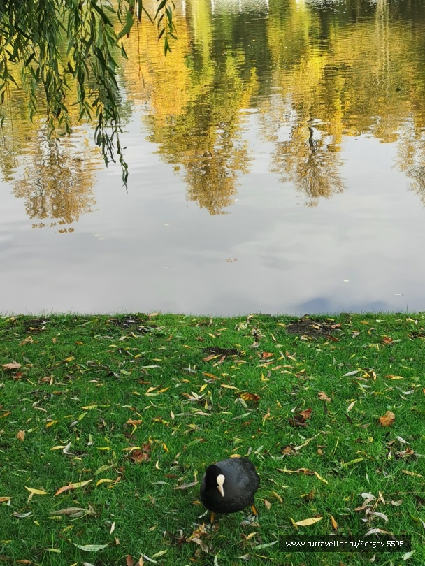 photo 2161810
