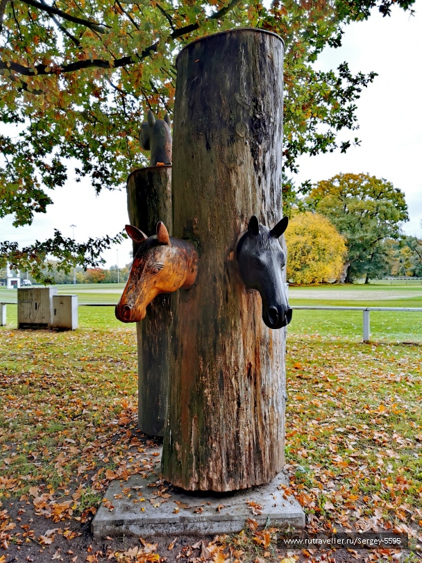 photo 2161949