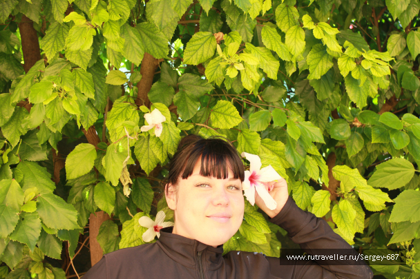photo 701030