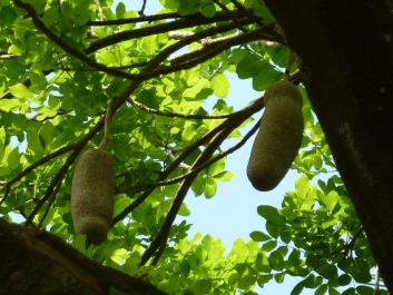 photo 885344