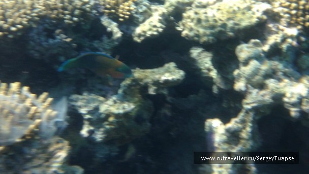 photo 947685