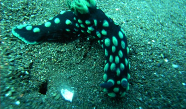M0010703