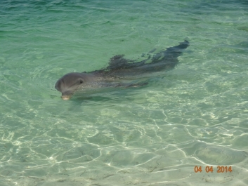 photo 936968