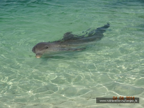 photo 936968