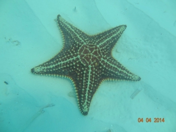 photo 936970
