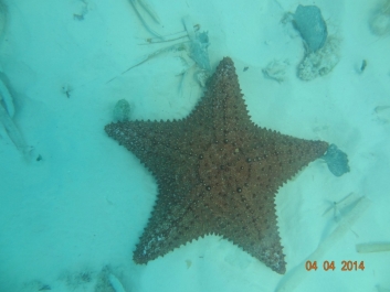 photo 936971