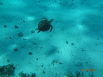 photo 936972