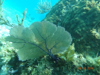 photo 936975