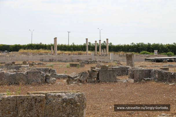 photo 435517