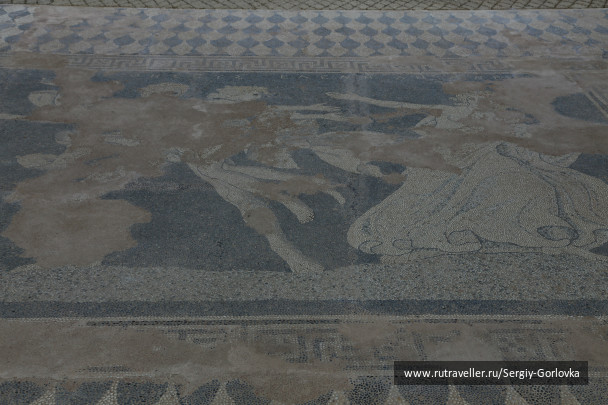 photo 435520
