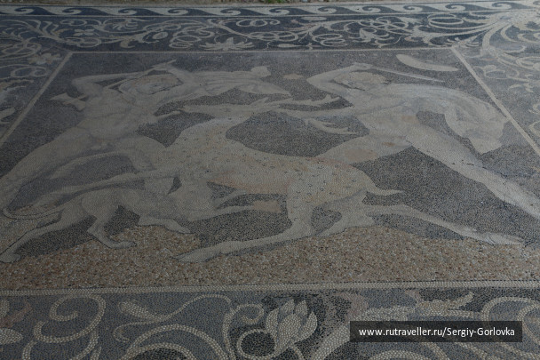 photo 435521