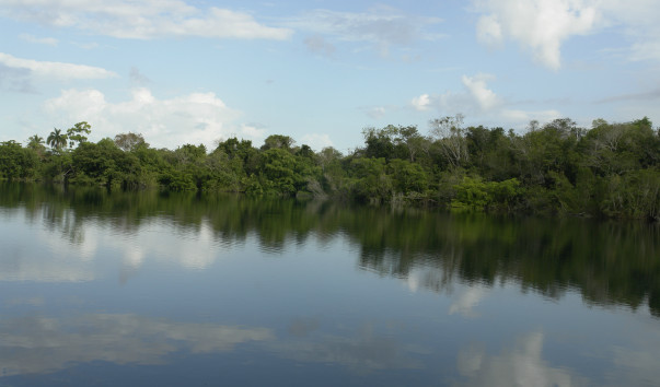 DSC3500