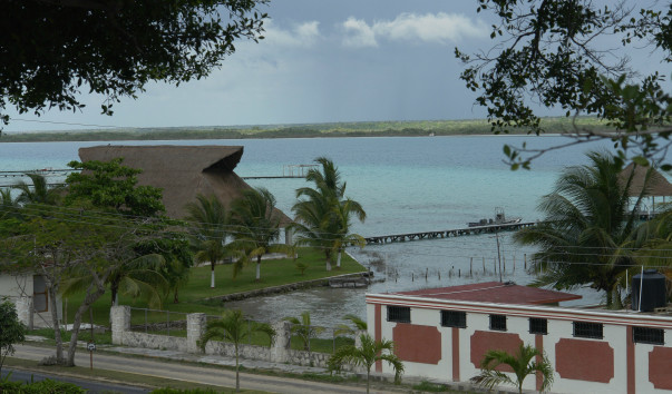 DSC3490