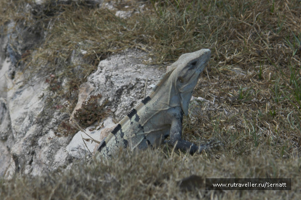 photo 75695
