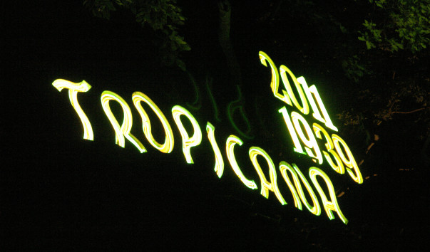 DSC9130