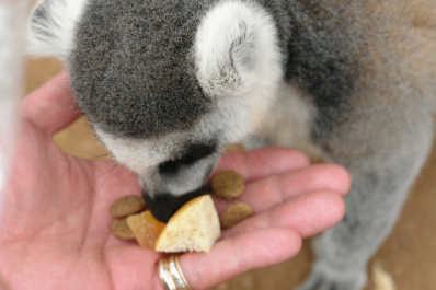 photo 144085