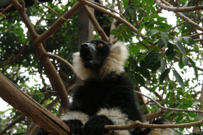 photo 144088