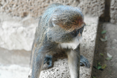 photo 144091