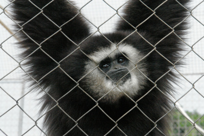 photo 144133