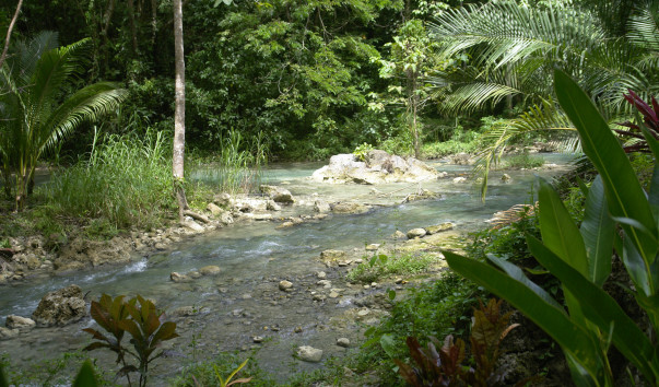 DSC04748