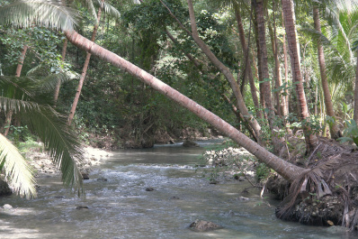 photo 182912