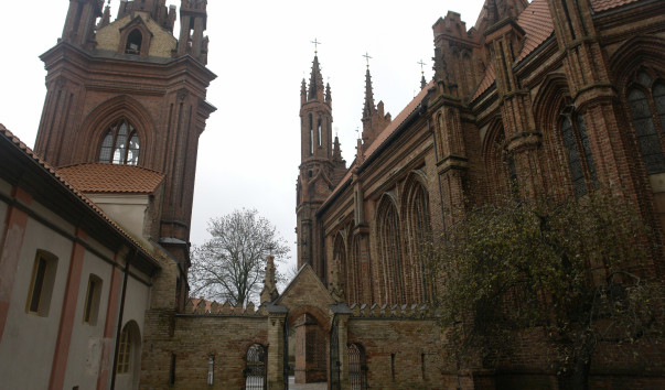 DSC5565