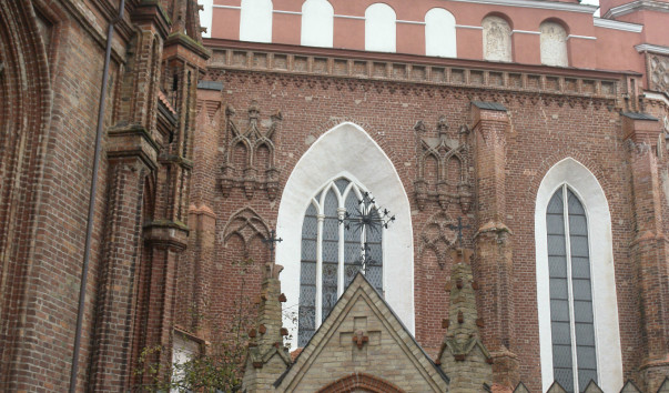 DSC5556