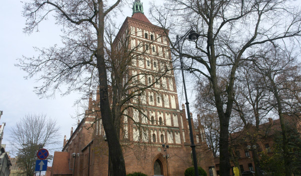 DSC5632