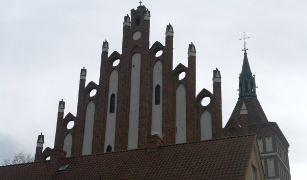 DSC5626
