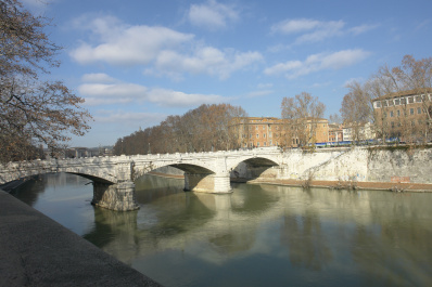 photo 235481