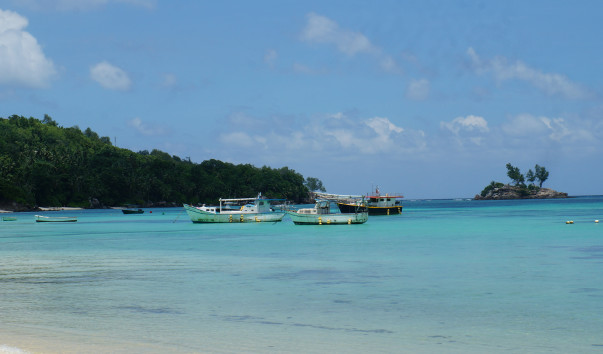 DSC07654