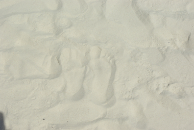 photo 647429