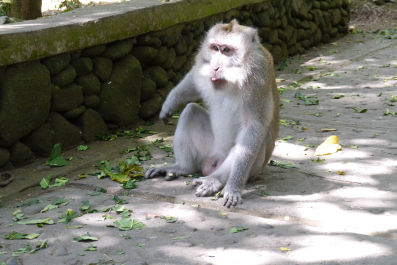 photo 688363
