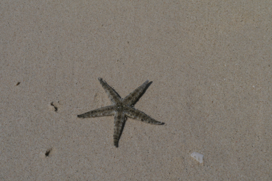 photo 646516