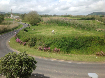photo 663216