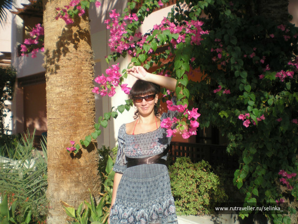photo 78179