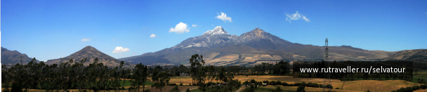 photo 996966