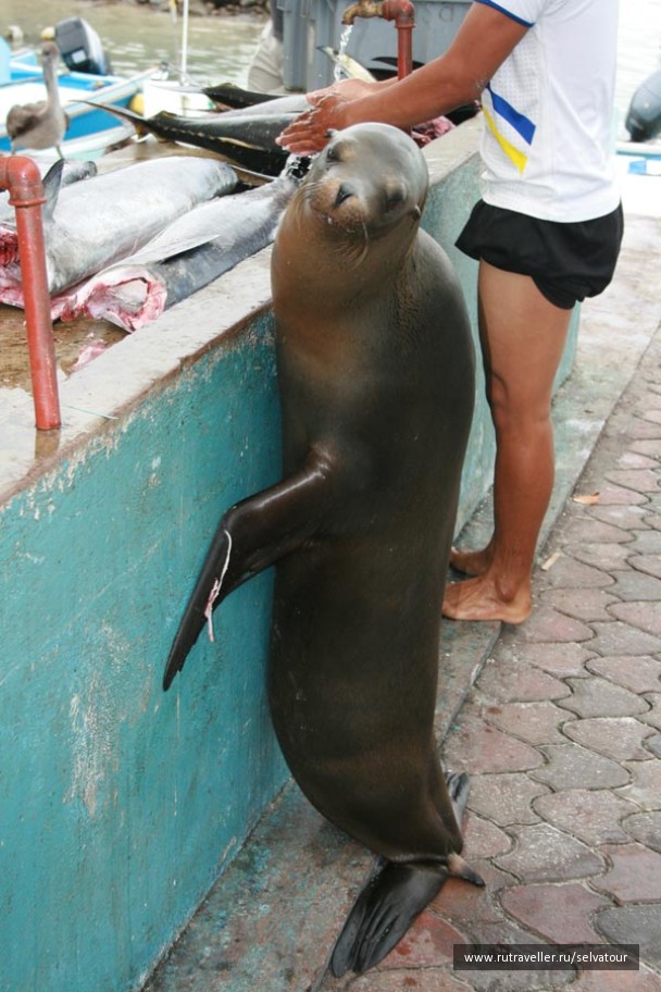 photo 22864
