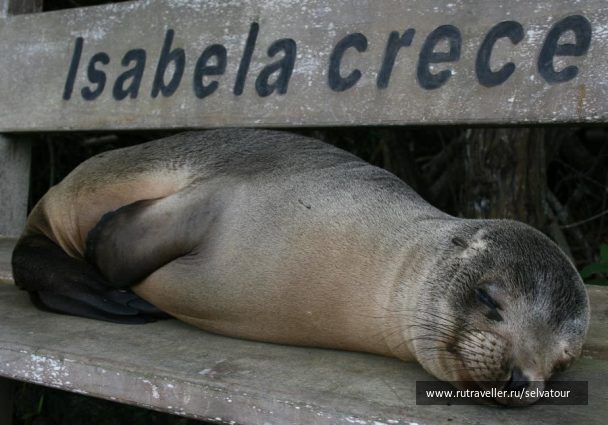 photo 26853