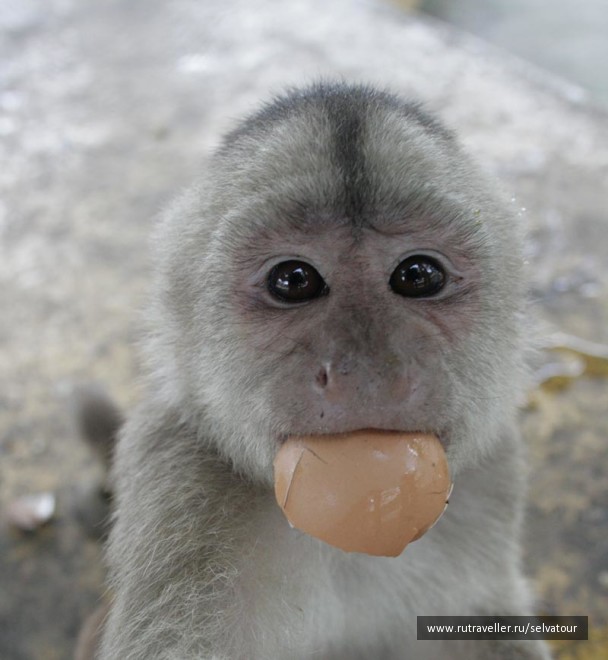 photo 26859