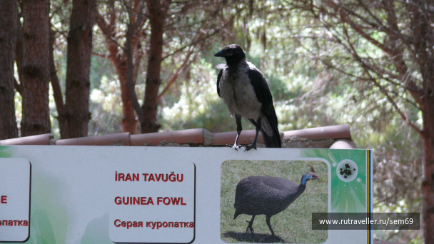 photo 460691
