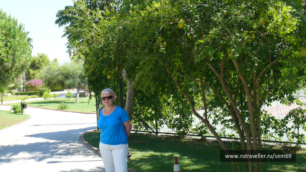 photo 460695