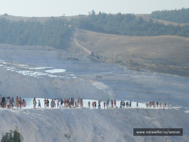 photo 499791
