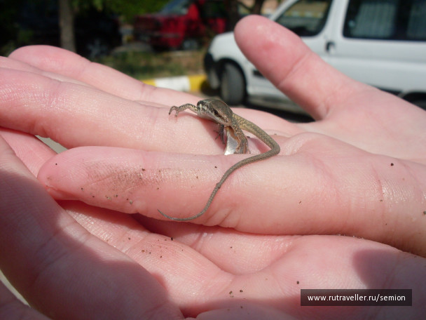 photo 499998