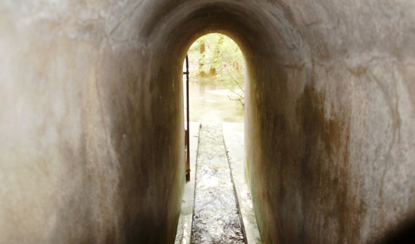 DSC09697
