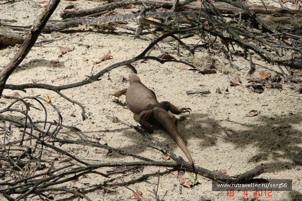 photo 109446