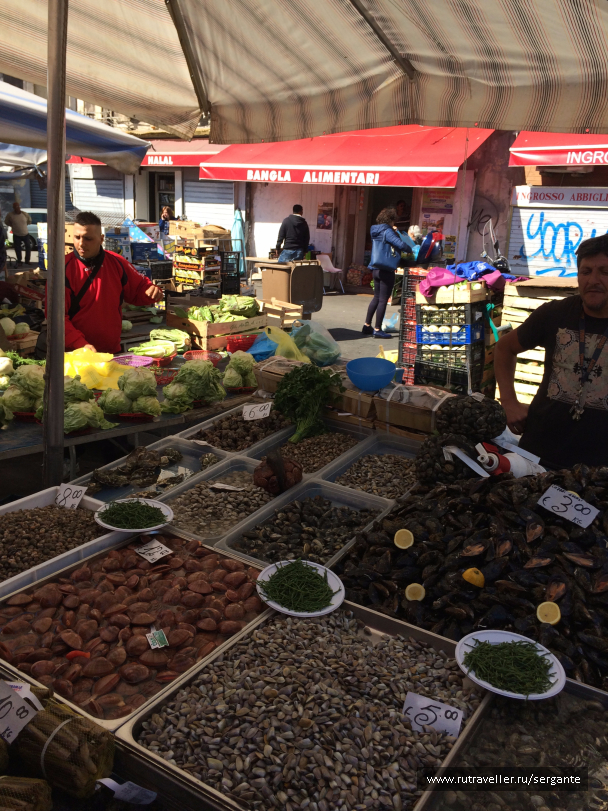 photo 1462462