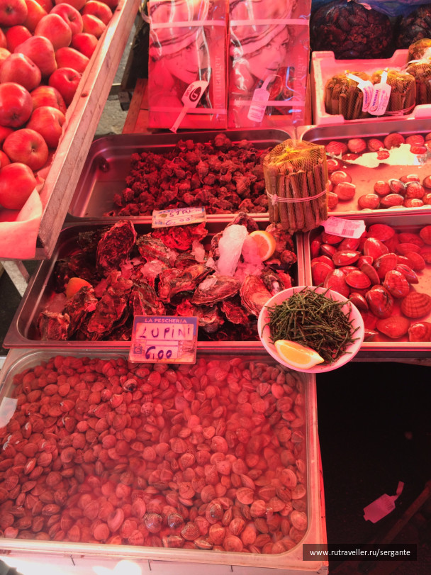 photo 1462469