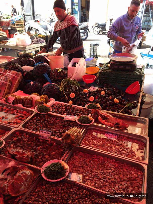 photo 1462471