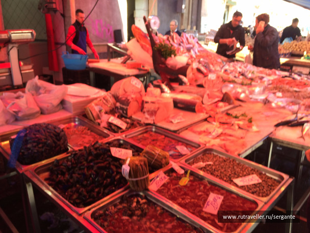 photo 1462479